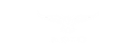 ASIO Gear logo
