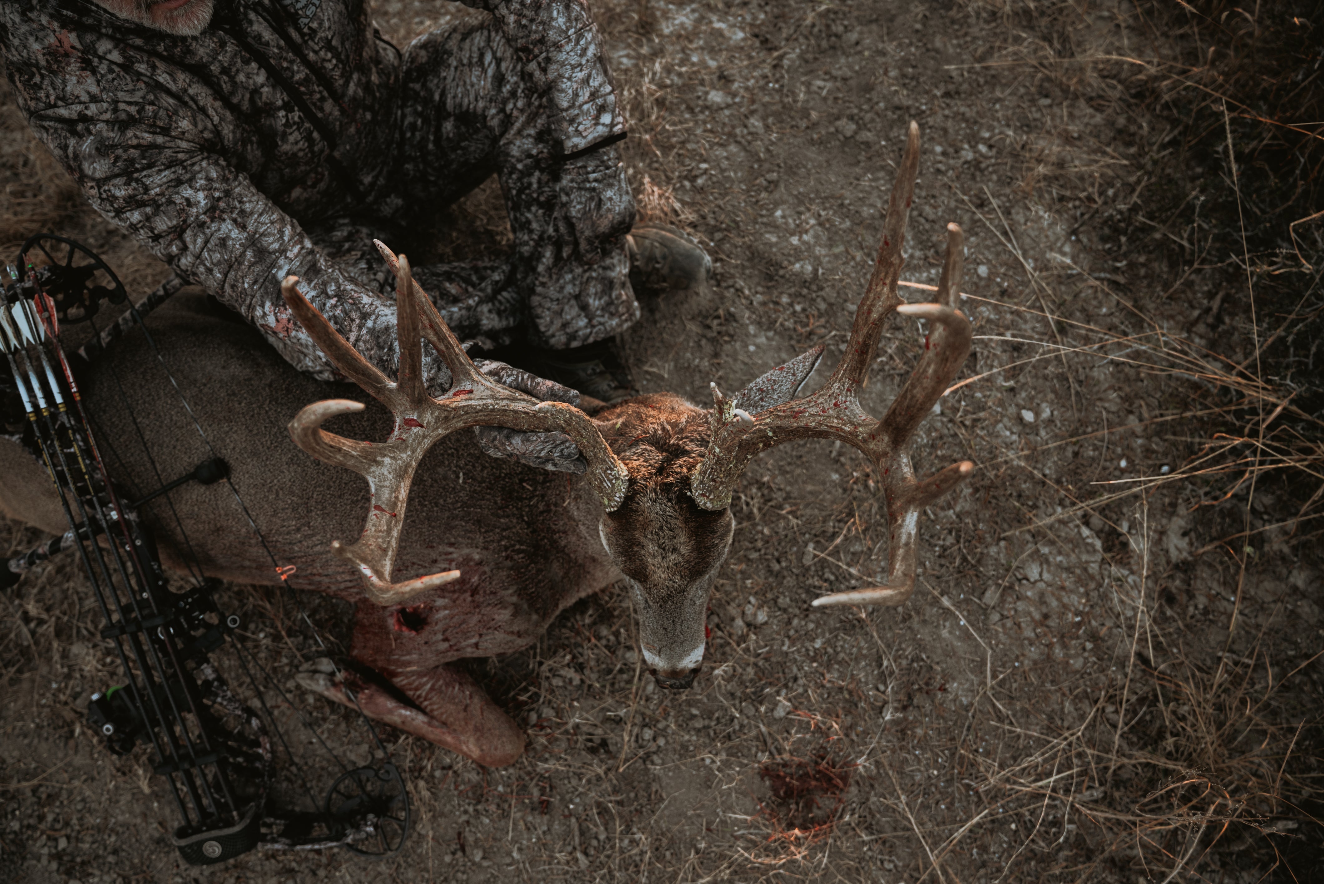Rut Sale