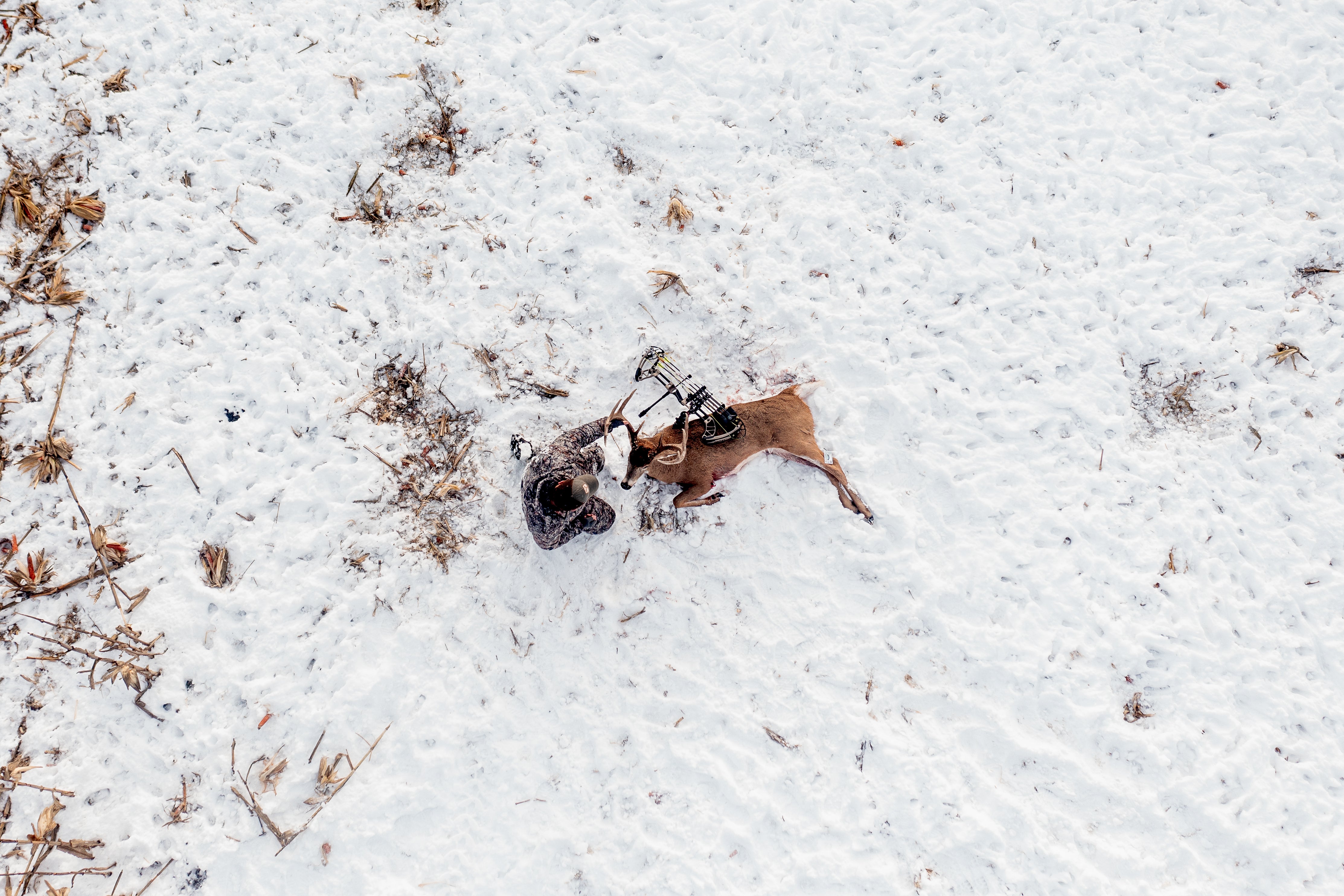 asio bow hunter in late season bowhunting whitetails from a tree