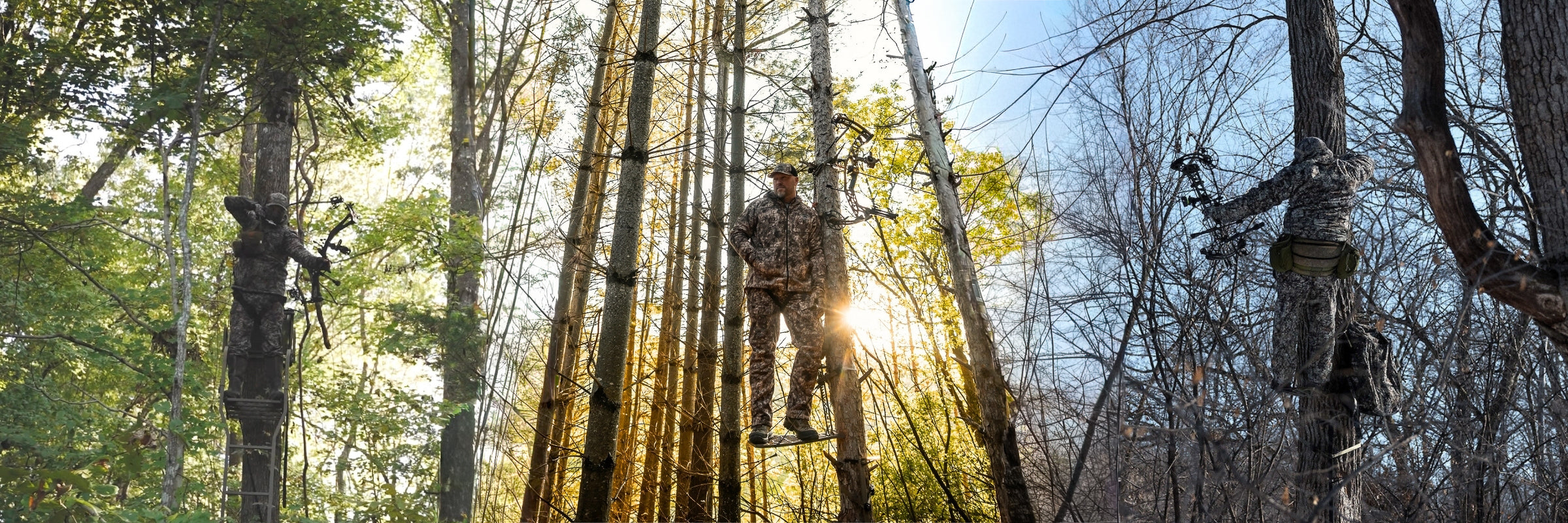 Whitetail Systems