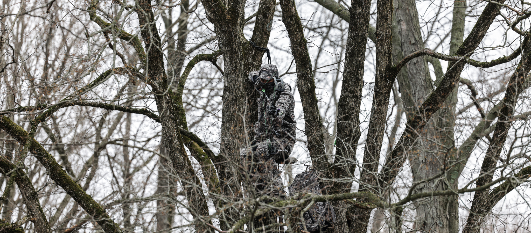 bowhunter at full draw wearing asio raptor camo jacket and vest during late season bowhunt for whitetail - optimized for desktop