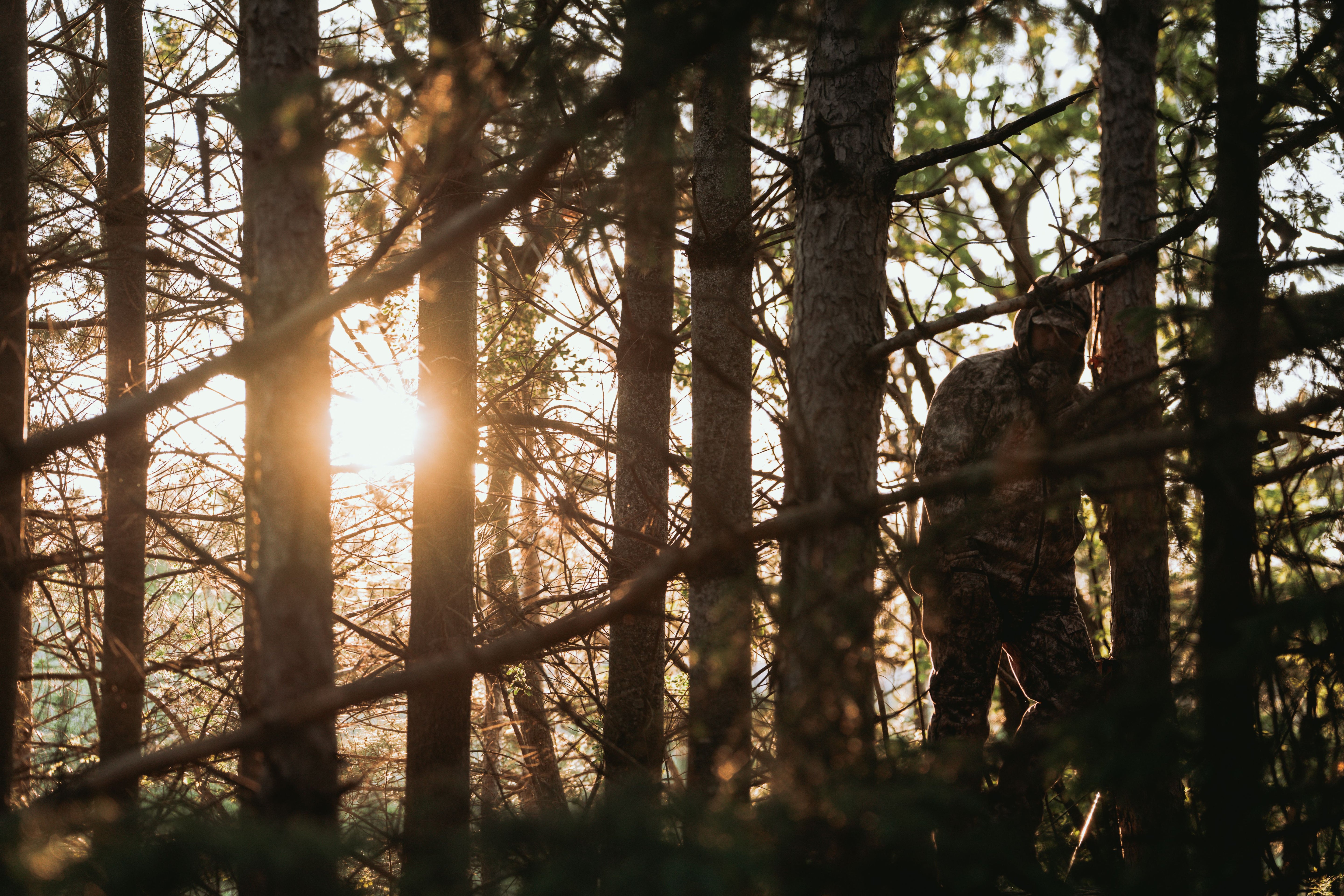 Bowhunter in RAPX camo blends into dense woods at sunrise, symbolizing peak concealment and the predator mindset—“Nature’s Most Lethal” campaign desktop header image